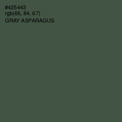 #425443 - Gray Asparagus Color Image
